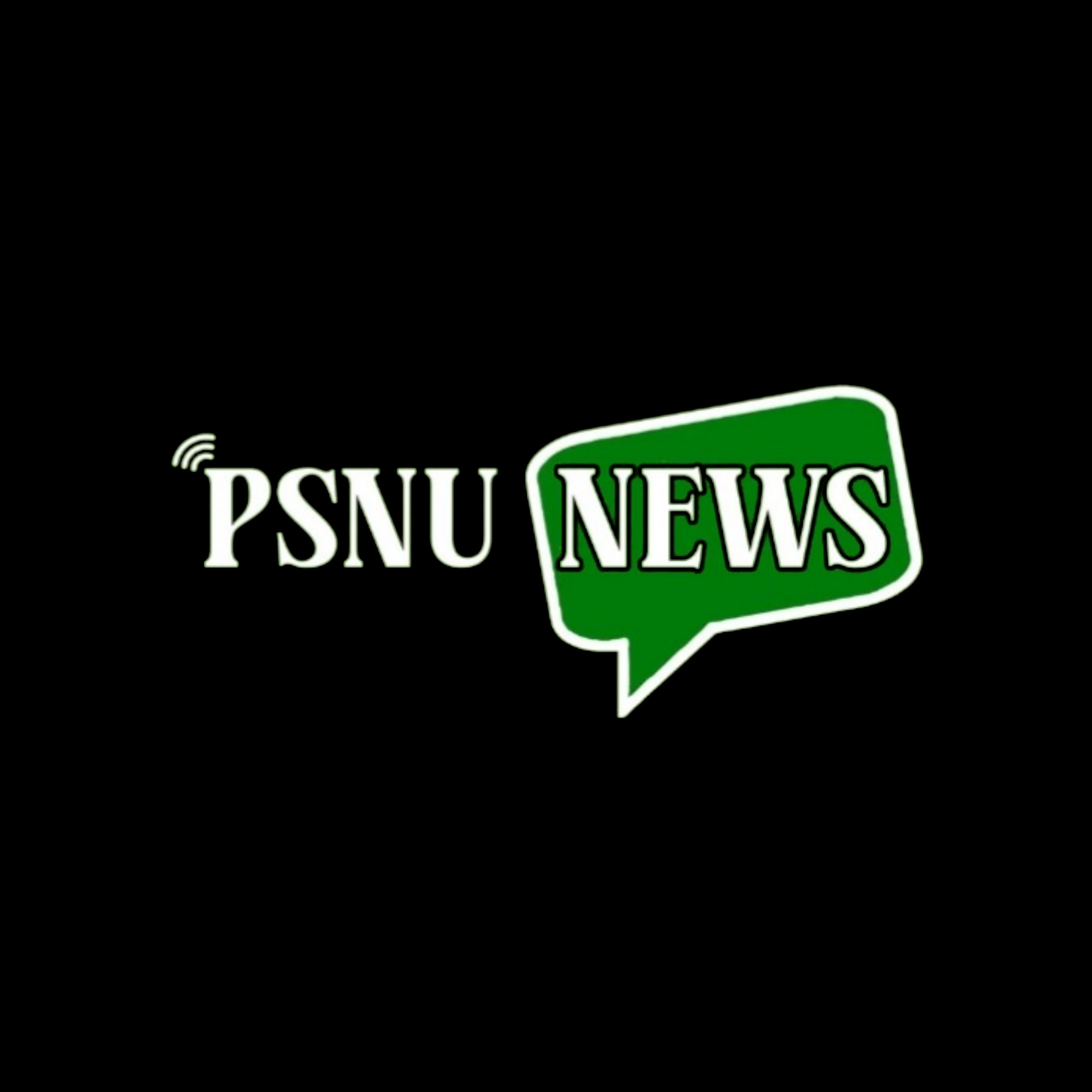 Logo PSNU News